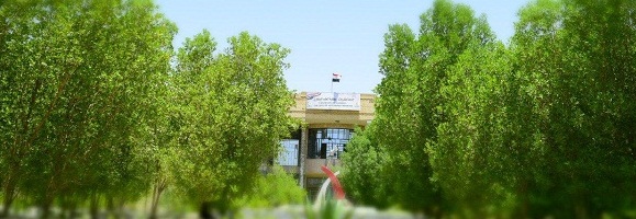 المؤتمر العلمي الدولي الأول