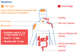 What is hemorrhagic fever? - College of Veterinary Medicine