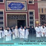 College of Veterinary Medicine / University of Karbala: Summer Training for the Fourth Year Begins: Towards Professional Competence and Practical Excellence