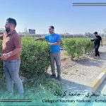Field follow-up on the work of cleaning gardens and caring for green spaces at the College of Veterinary Medicine