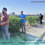 متابعة ميدانية لأعمال تنظيف الحدائق والعناية بالمساحات الخضراء في كلية الطب البيطري