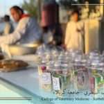 كلية الطب البيطري تواصل مشاركتها في خدمة زوّار الإمام الحسين (عليه السلام) ضمن فعاليات عاشوراء