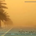 كلية الطب البيطري توجّه إرشادات وقائية للحد من آثار العواصف الرملية