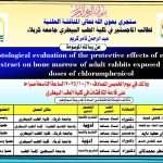 🔹 إعــــلان 🔹