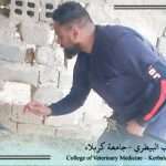 تدريسيّو وطلبة كلية الطب البيطري يطلقون مبادرة تطوعية لعلاج حيوانات العوائل المتعففة تزامناً مع اليوم العالمي للفقر