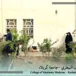 بتوجيه من عميد كلية الطب البيطري .. حملة خدمية لتنظيم الحدائق وإزالة الأنقاض