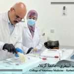 تعزيز الجانب التطبيقي لطلبة الدراسات العليا في فرع الفسلجة بدرس عملي في الغدد الصم