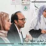 كلية الطب البيطري / جامعة كربلاء تنظم ورشة حول الإرشاد النفسي ودوره في دعم التحصيل الدراسي