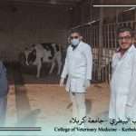 كلية الطب البيطري تواصل جهودها في الحفاظ على صحة الحيوانات ضمن برامج المتابعة الدورية