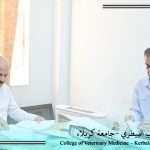 وحدة التجهيزات في كلية الطب البيطري تنجز إعادة هيكلة وتنظيم الأرشيف الإداري